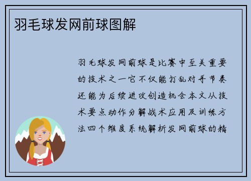 羽毛球发网前球图解