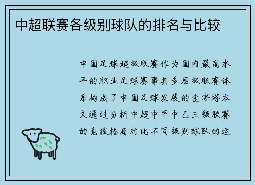 中超联赛各级别球队的排名与比较