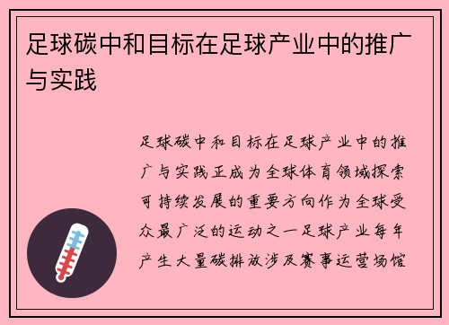 足球碳中和目标在足球产业中的推广与实践